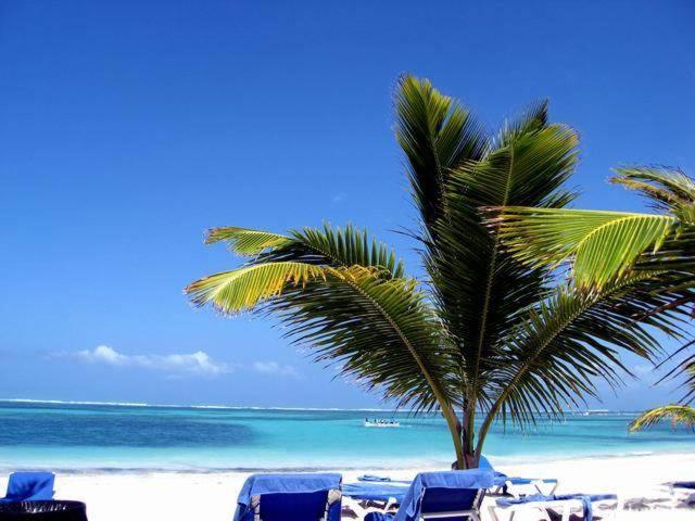 Larimar Beach Punta Cana酒店 外观 照片